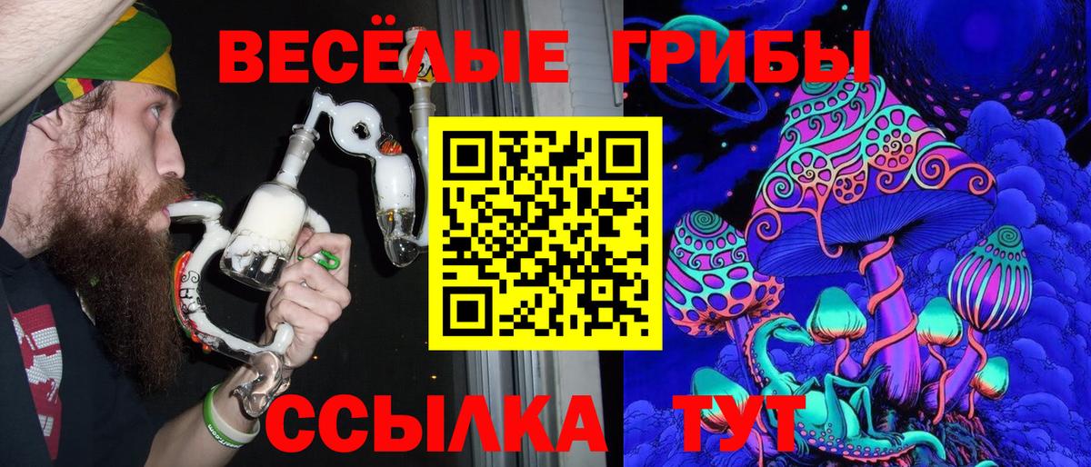Галлюциногенные грибы Cubensis  Вход с VPN  Мурино  Псилоцибиновые грибы GOLDEN TEACHER 