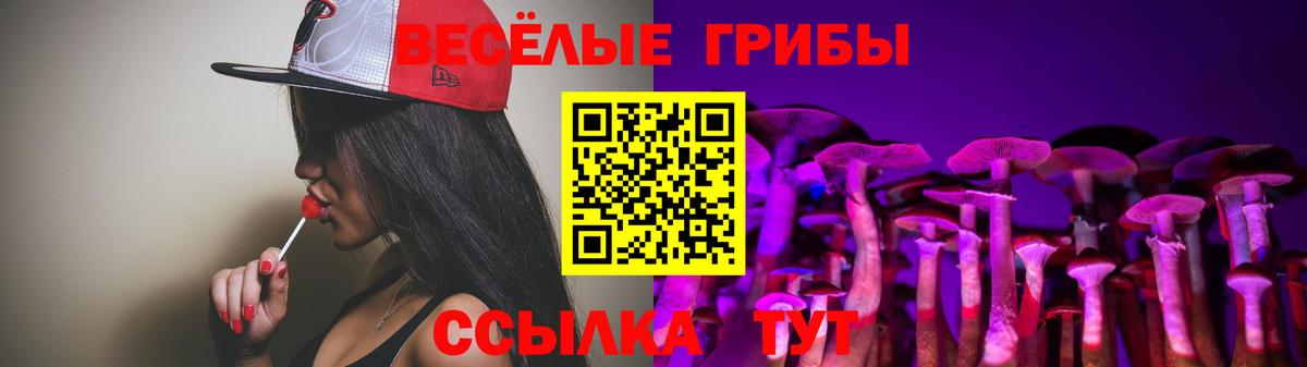 Псилоцибиновые грибы мицелий Мурино